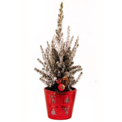 Arvore de Natal - PX11 - A  40-50 cm